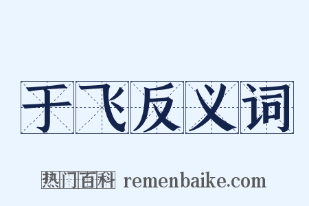 于飞反义词是什么意思的图片